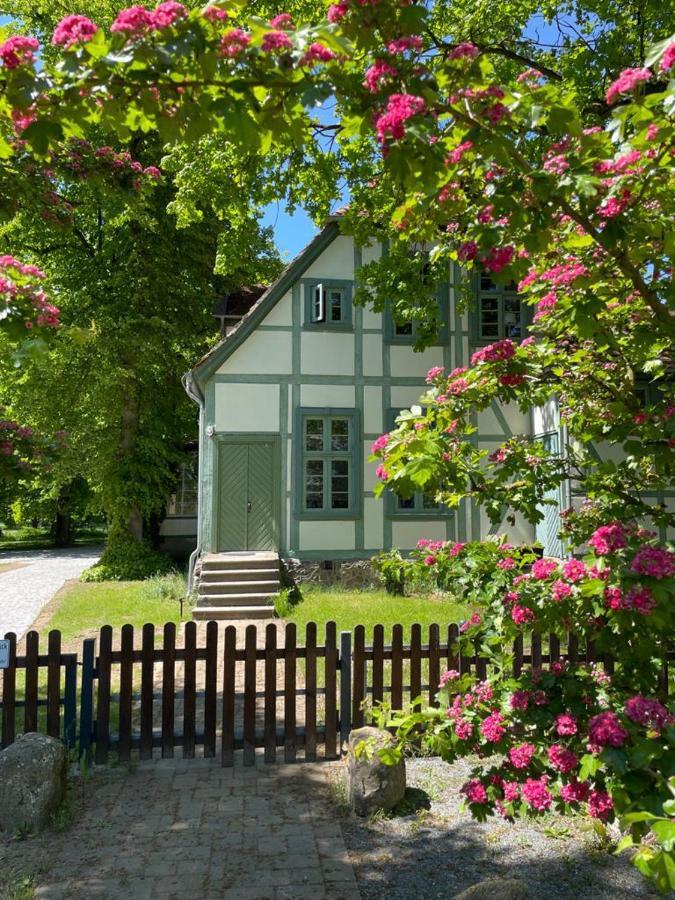 Jagdschloss Friedrichsmoor Neustadt-Glewe Exteriör bild